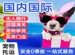 巴马航空运输国际宠物托运 【国